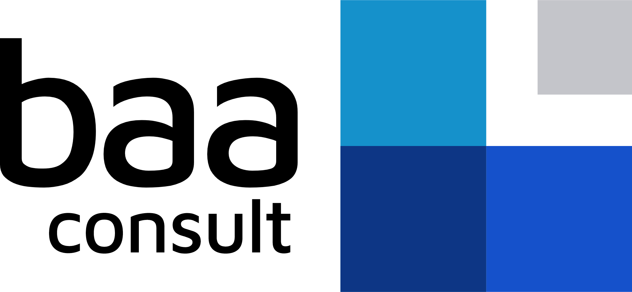 BAAConsult_Full-Lockup_Original